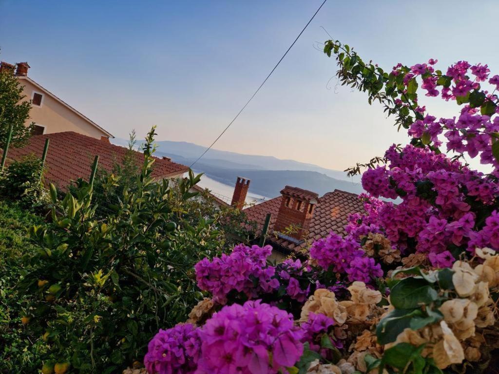 Aloe Διαμέρισμα Rabac Εξωτερικό φωτογραφία